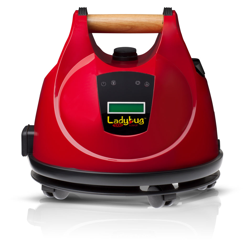 Ladybug® 2350 Steam Vapor System