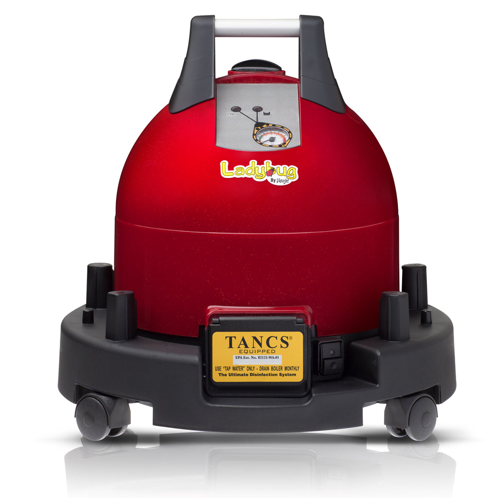 Ladybug® 2300 Steam Vapor System